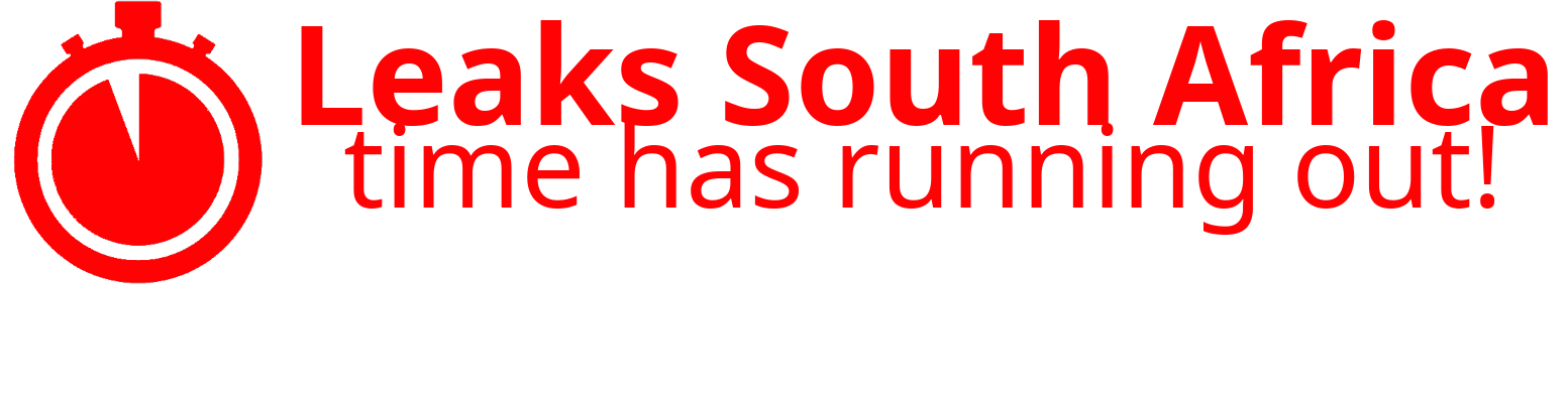 NEWS – Wiki Leaks South Africa